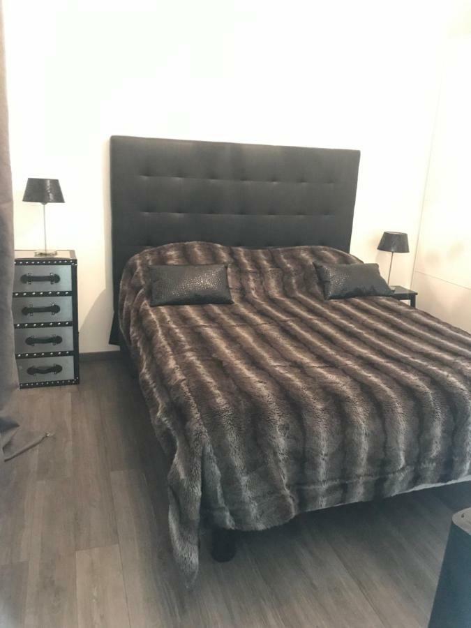 The Charming Trocadero Eiffel Tower *